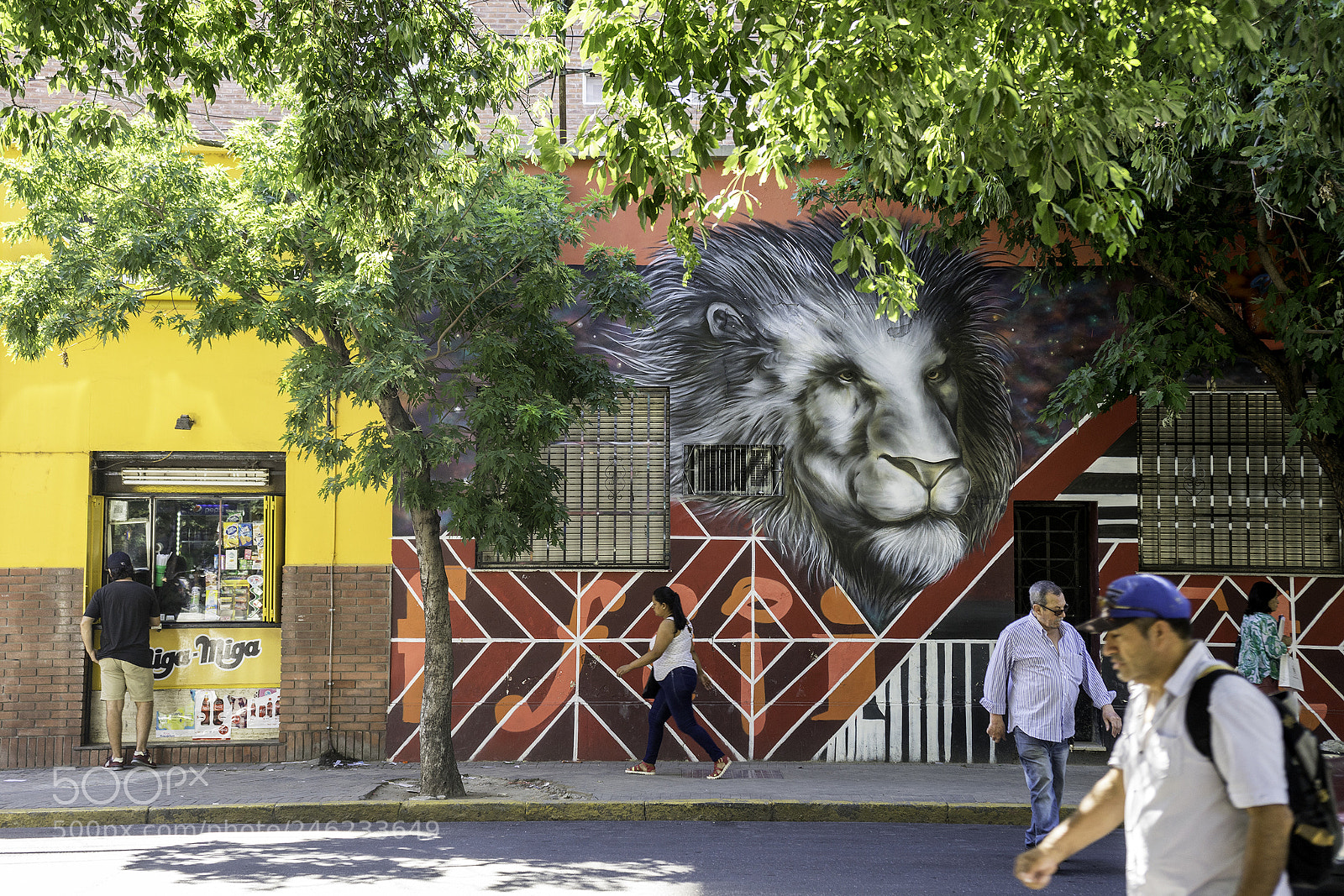 Sony a7 sample photo. Jungla urbana 2 photography