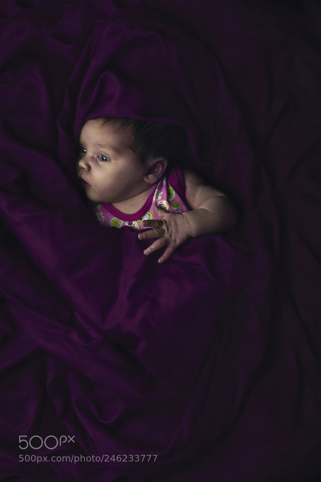 Nikon D5100 sample photo. Purple princess photography