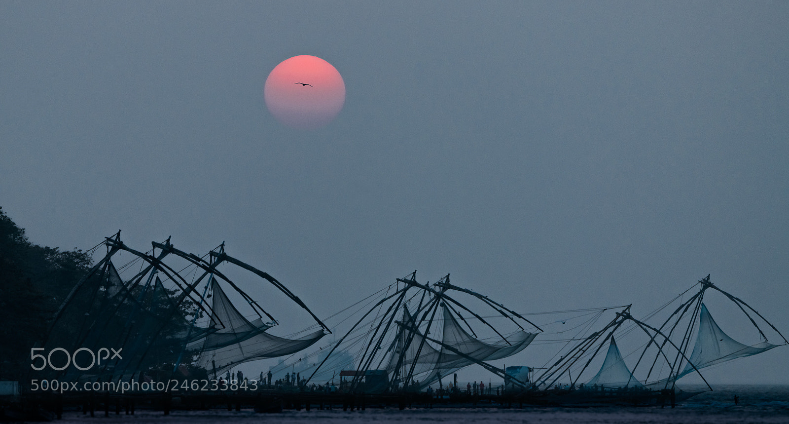 Nikon D850 sample photo. Sunset at vembanad lake photography