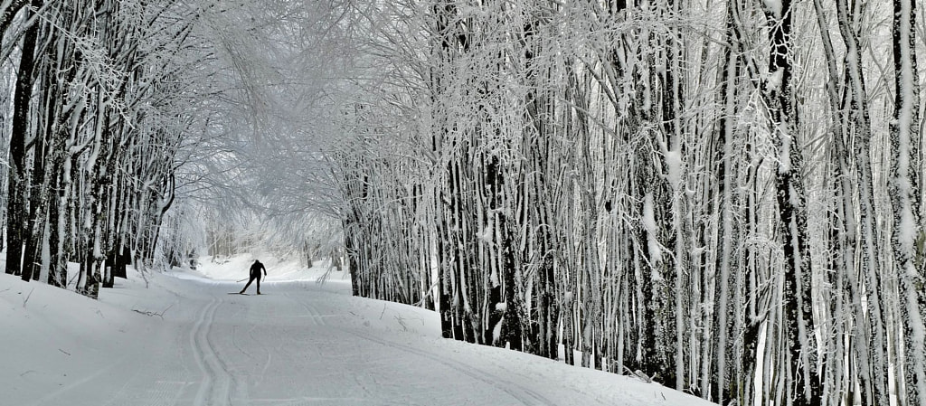 Cross country skiing by Enzo Rettori on 500px.com