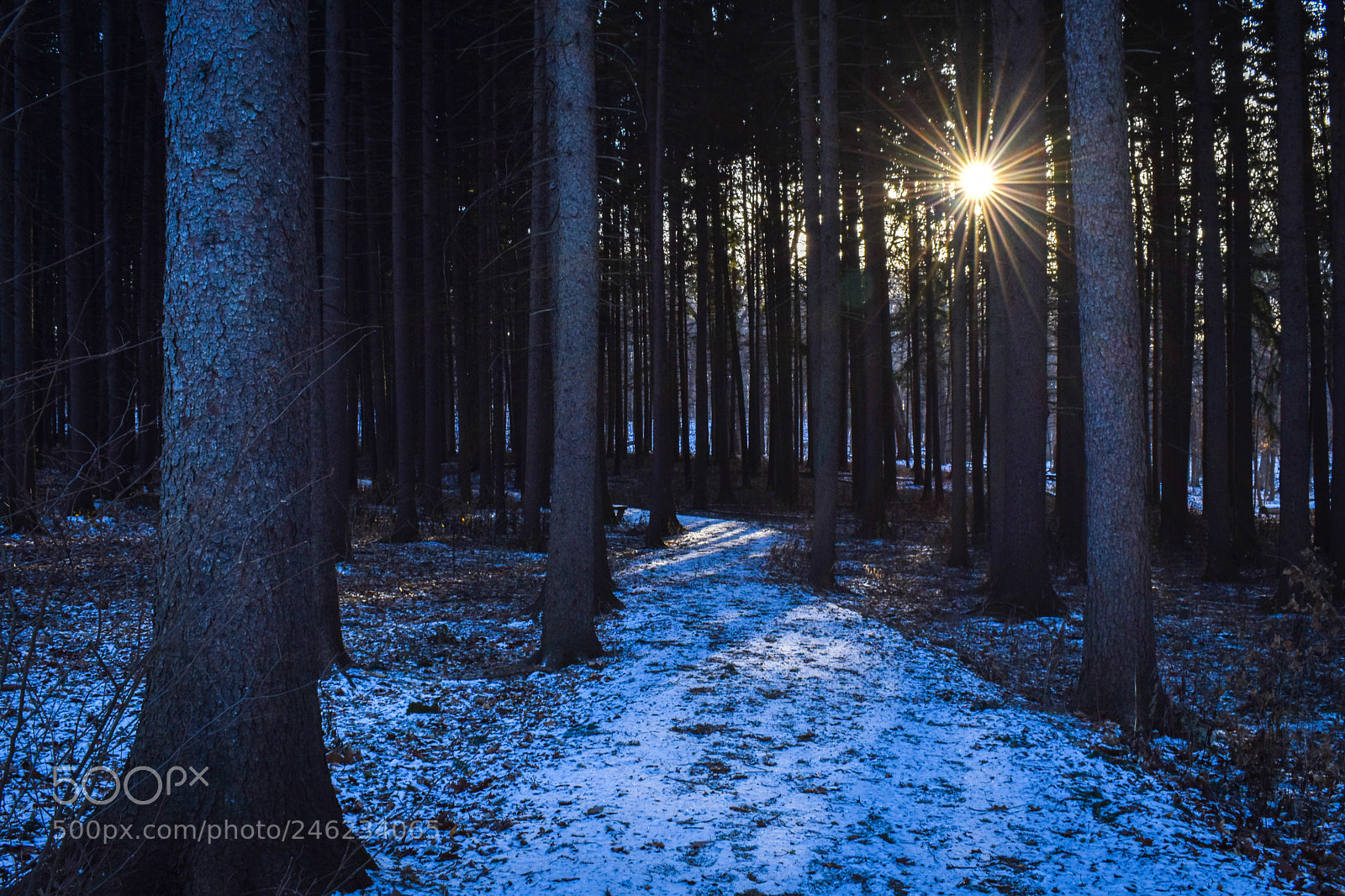 Nikon D5500 sample photo. A walk in the photography
