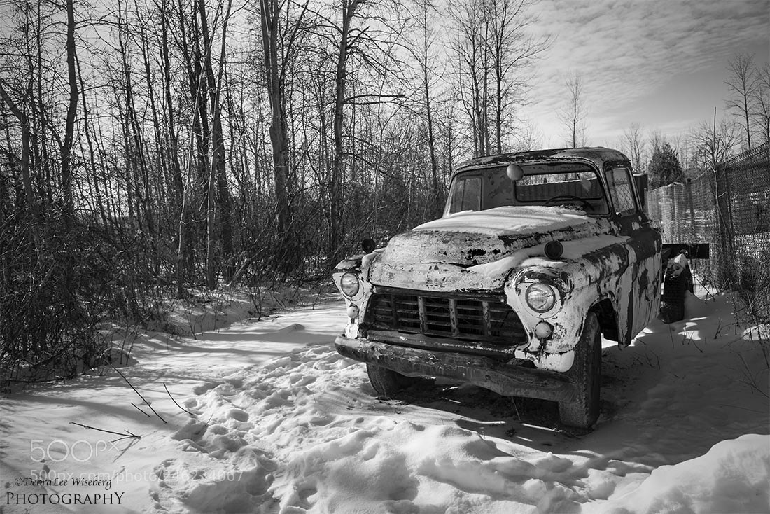 Nikon D800 sample photo. Baby u can drive photography