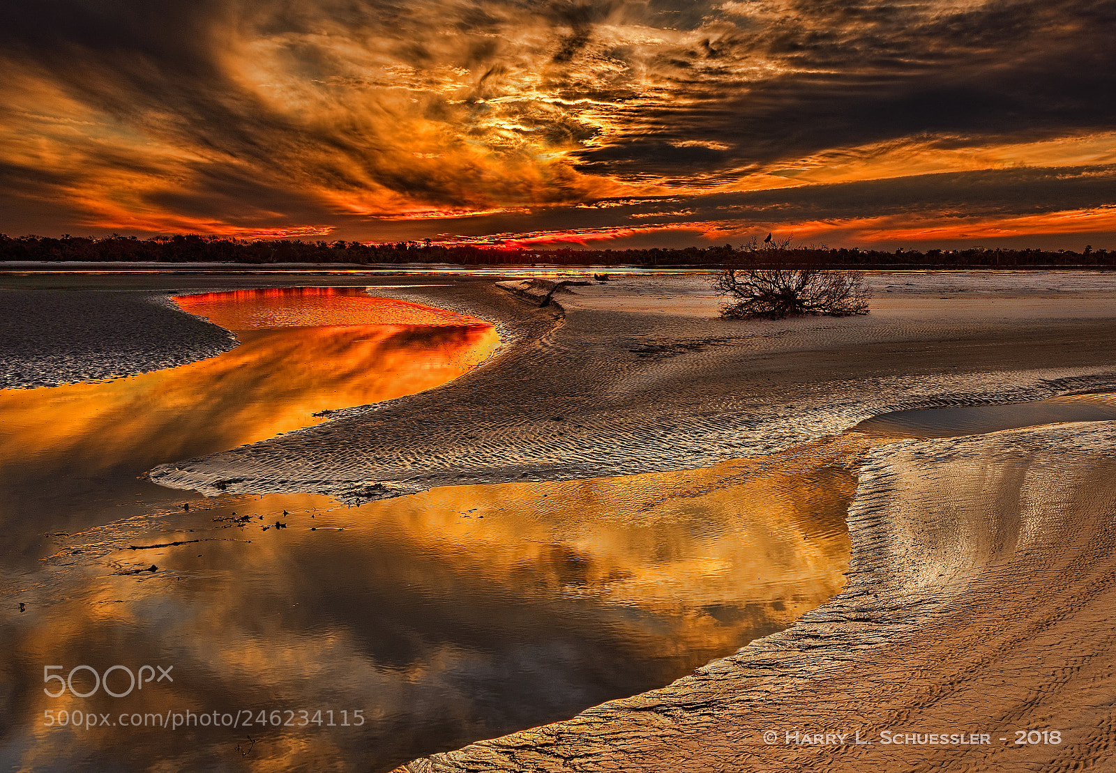Nikon D800E sample photo. Fire on the water photography