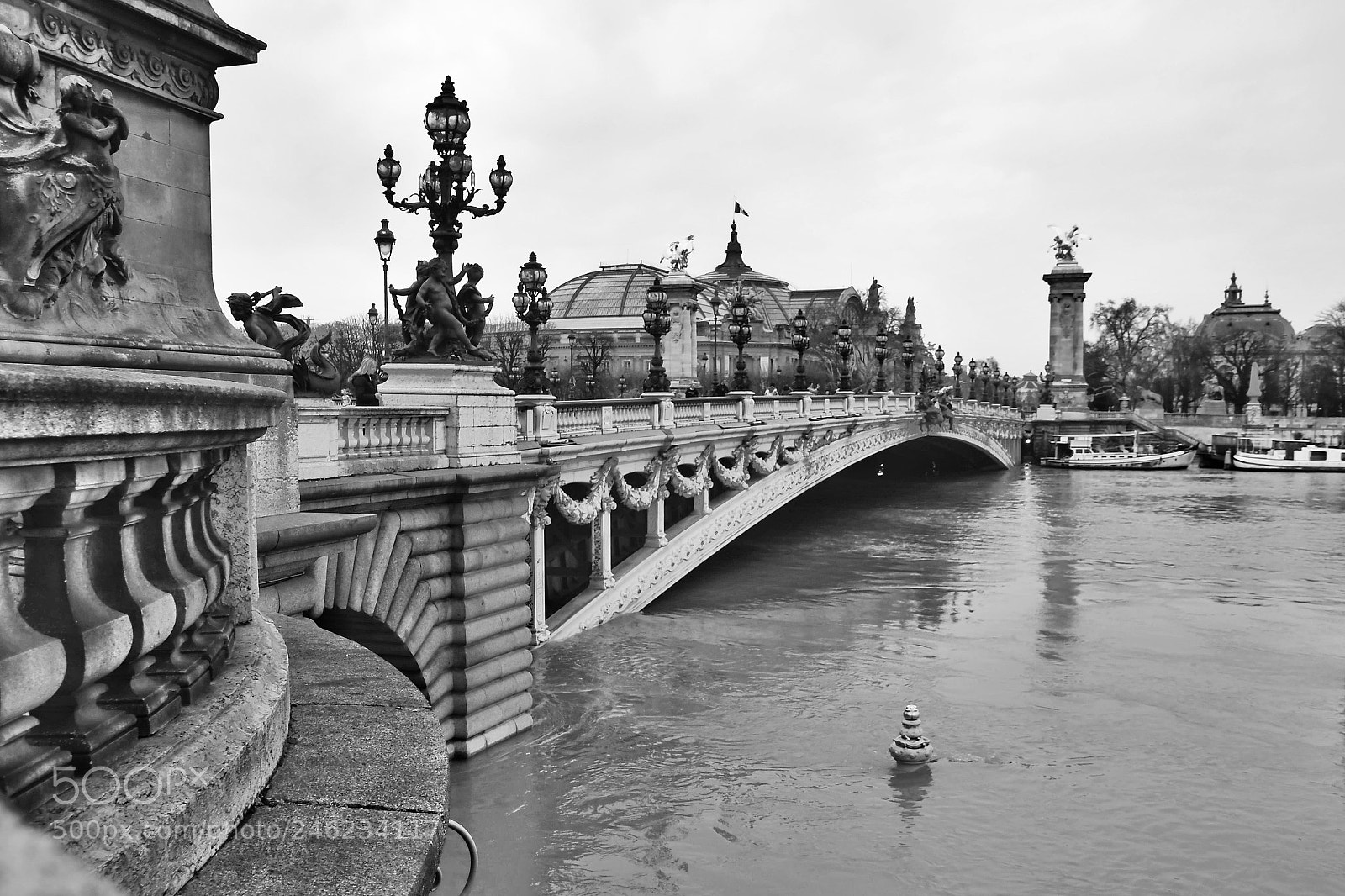 Nikon D500 sample photo. Flooded riverbanks - paris photography
