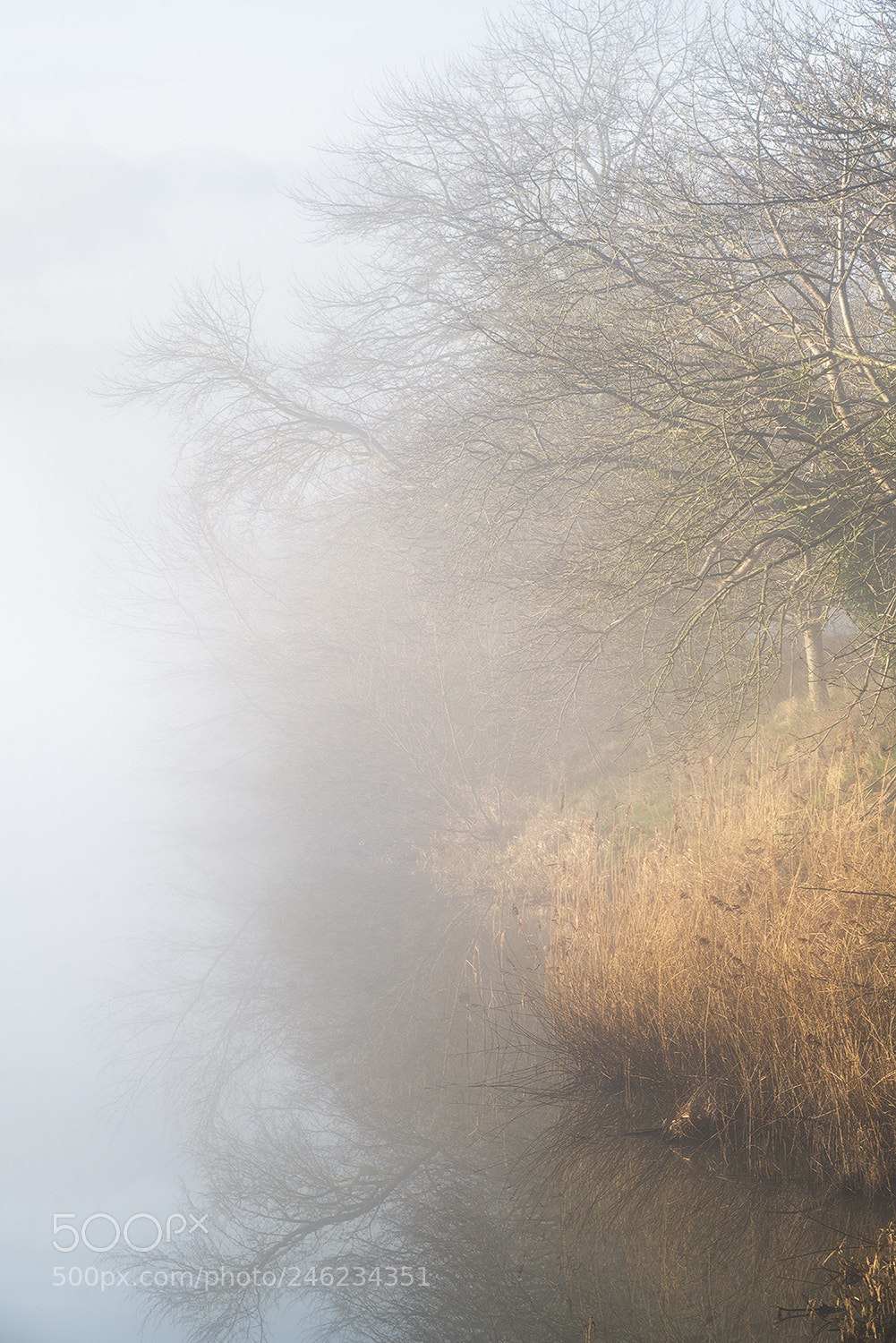 Sony a7R II sample photo. Dawn photography