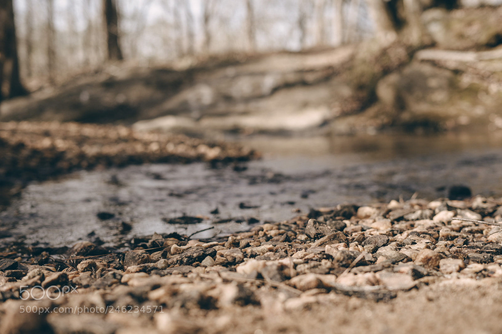 Sony a7 sample photo. Pebbles photography