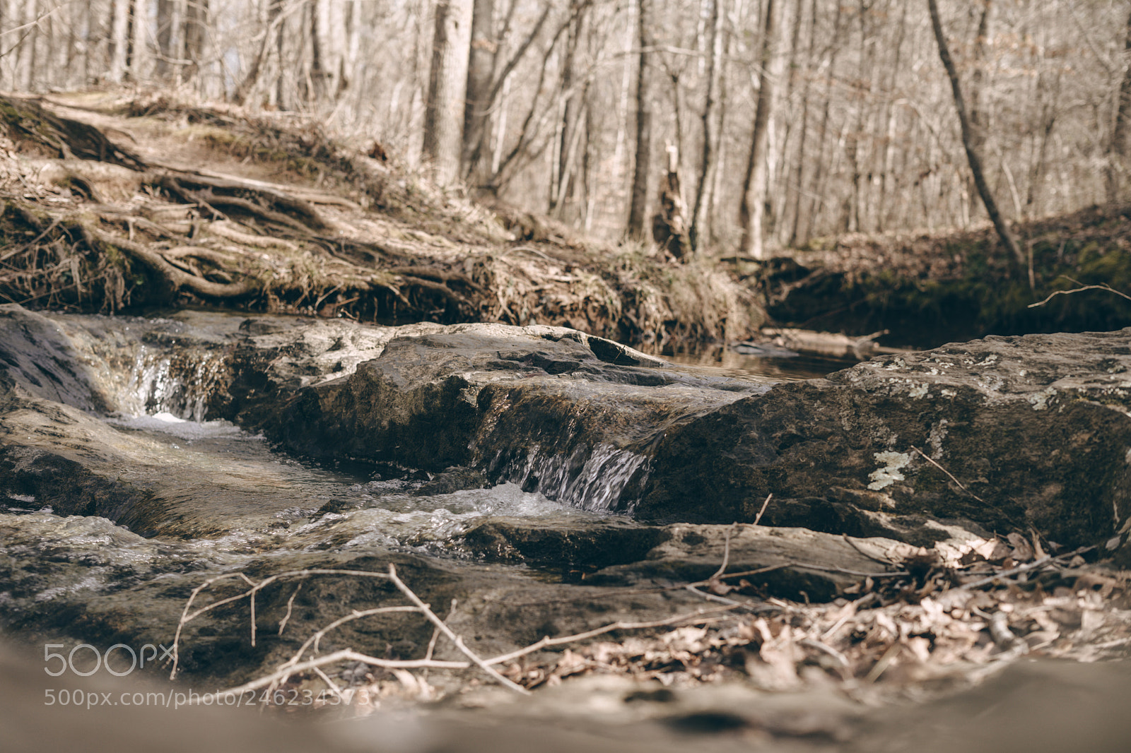 Sony a7 sample photo. Little river photography