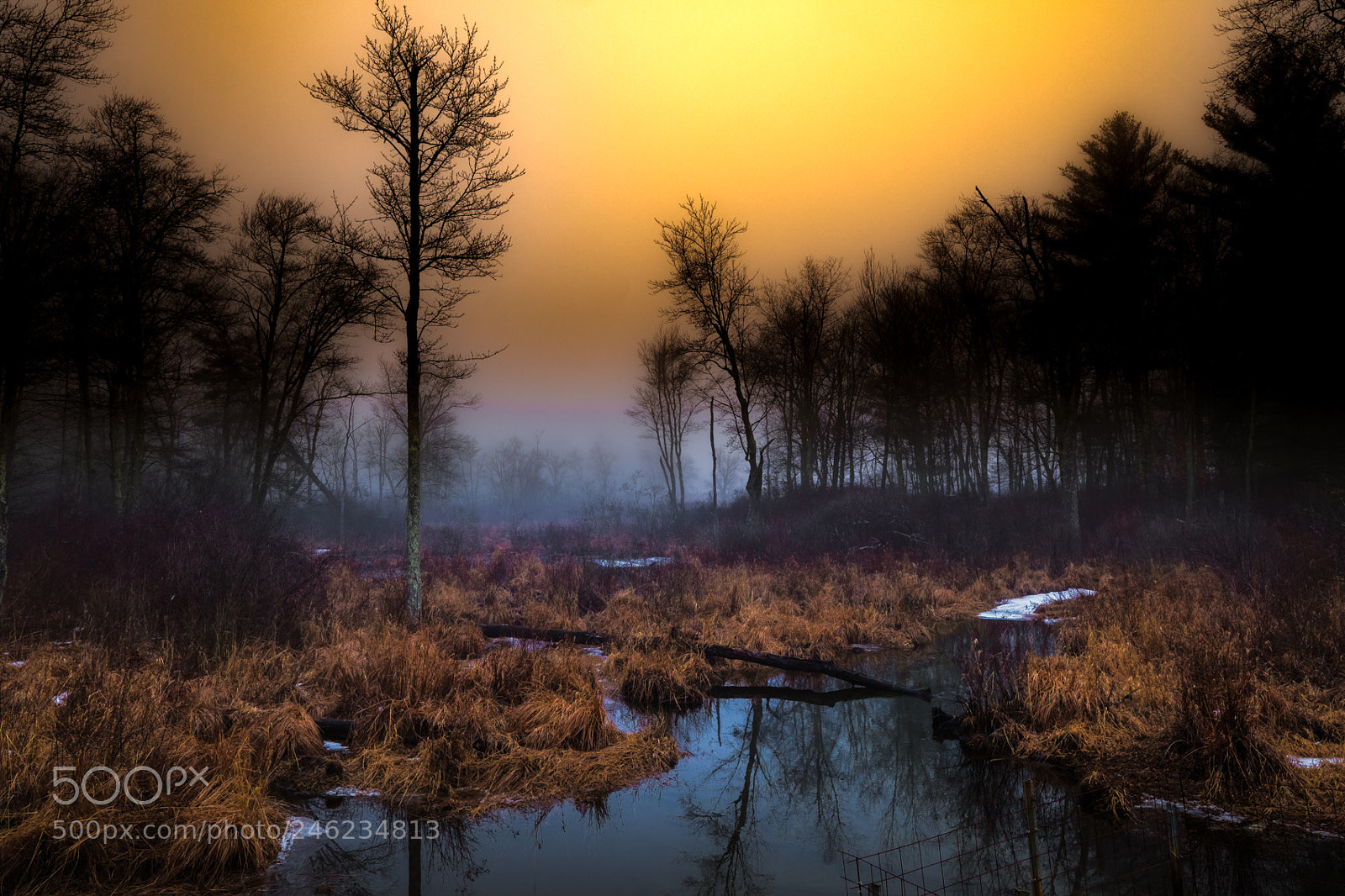 Fujifilm X-T20 sample photo. Sunrise over the pond photography