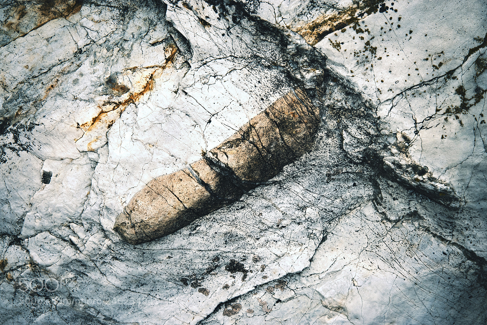Nikon D5500 sample photo. Abstract surface limestone with photography