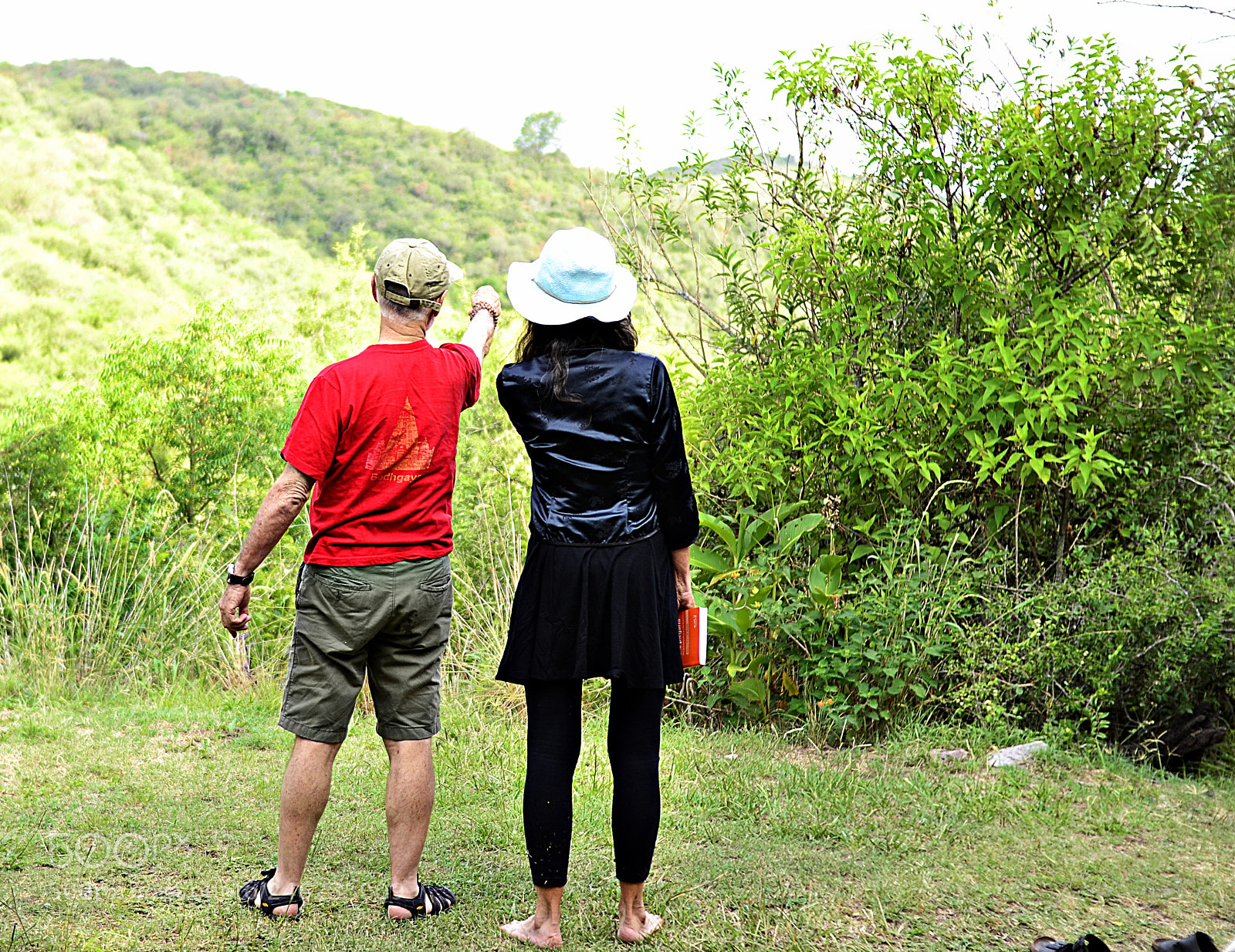 Nikon D3100 sample photo. Serie backwards photography