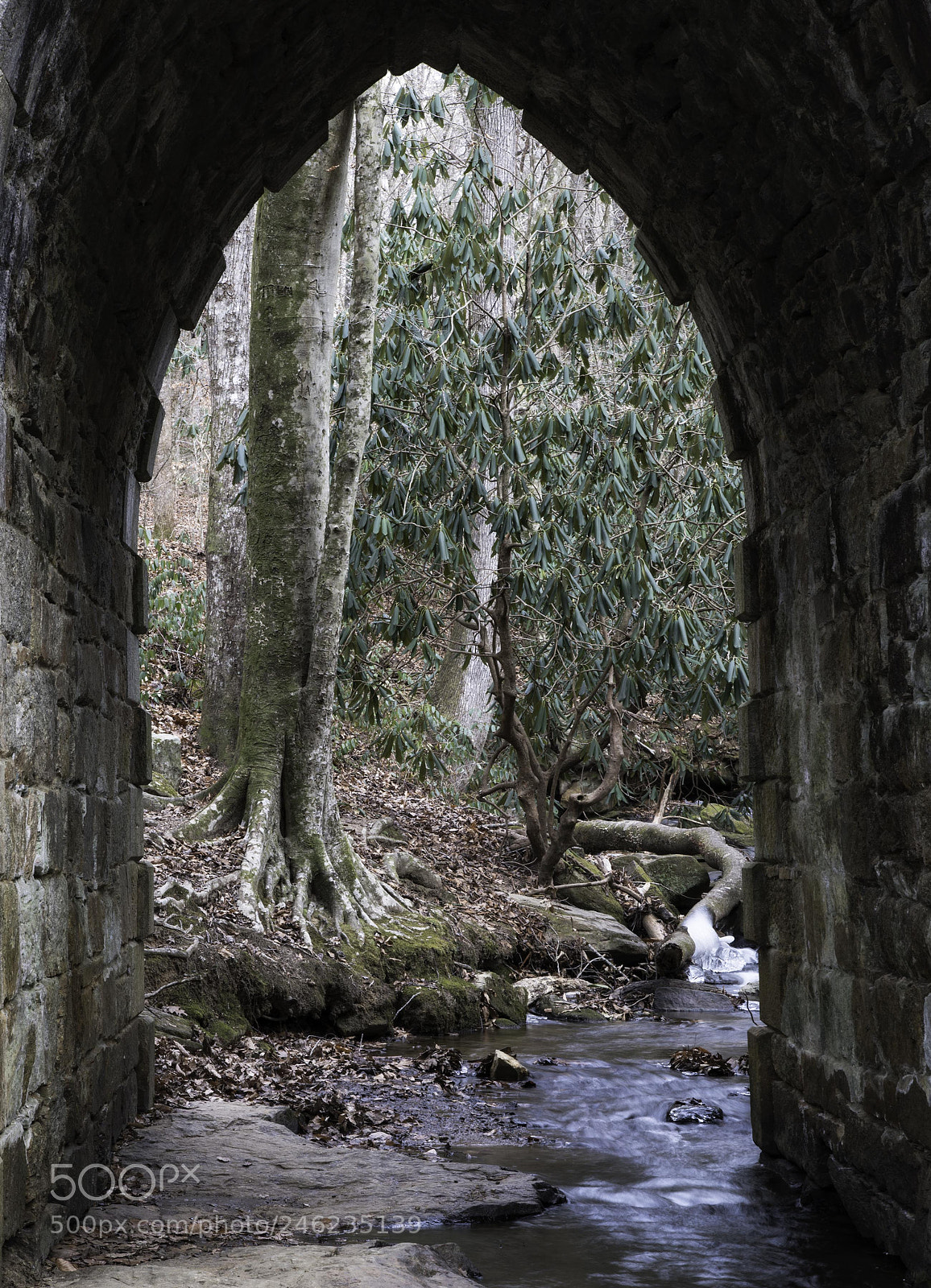Sony a7R II sample photo. Poinsett bridge - winter photography