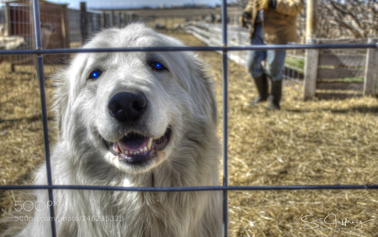 Canon EOS 50D sample photo. Got treats? photography