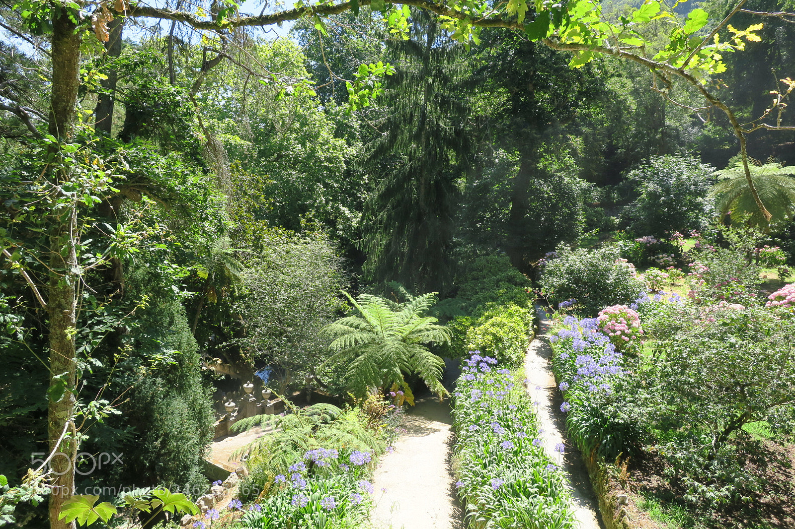 Canon PowerShot G9 X sample photo. Quinta da regaleira photography