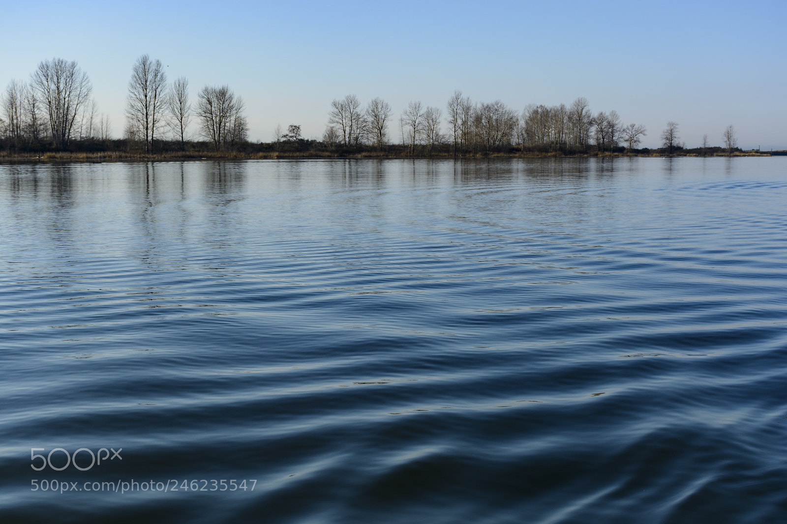 Nikon D7100 sample photo. Calmness photography