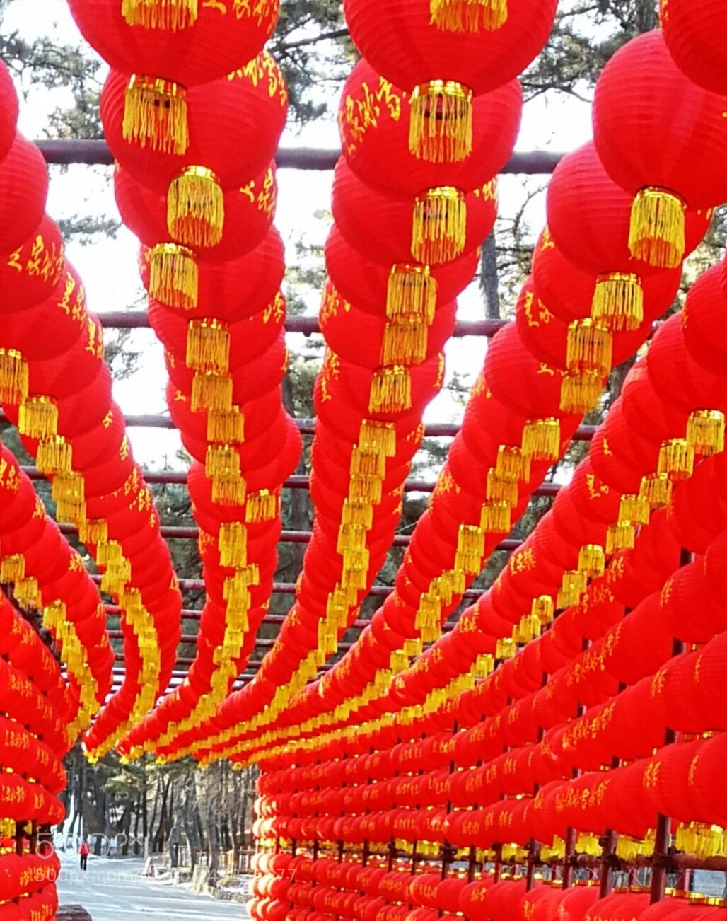 HUAWEI P10 sample photo. Red lantern photography