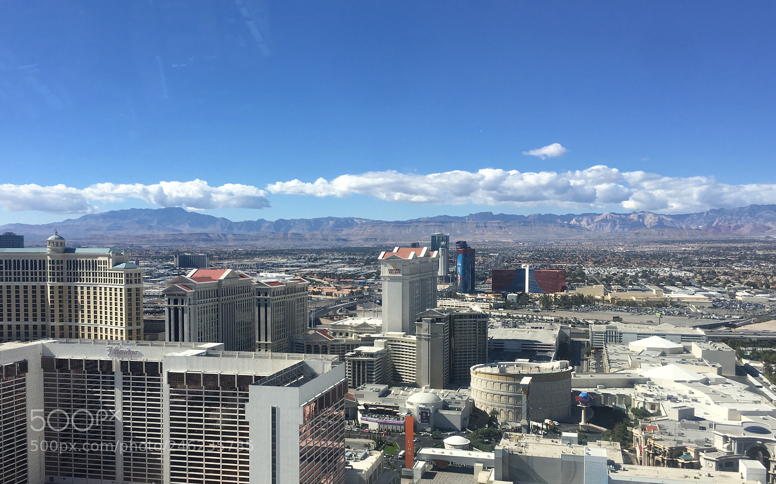 Apple iPhone 6s Plus sample photo. Viva las vegas!! photography