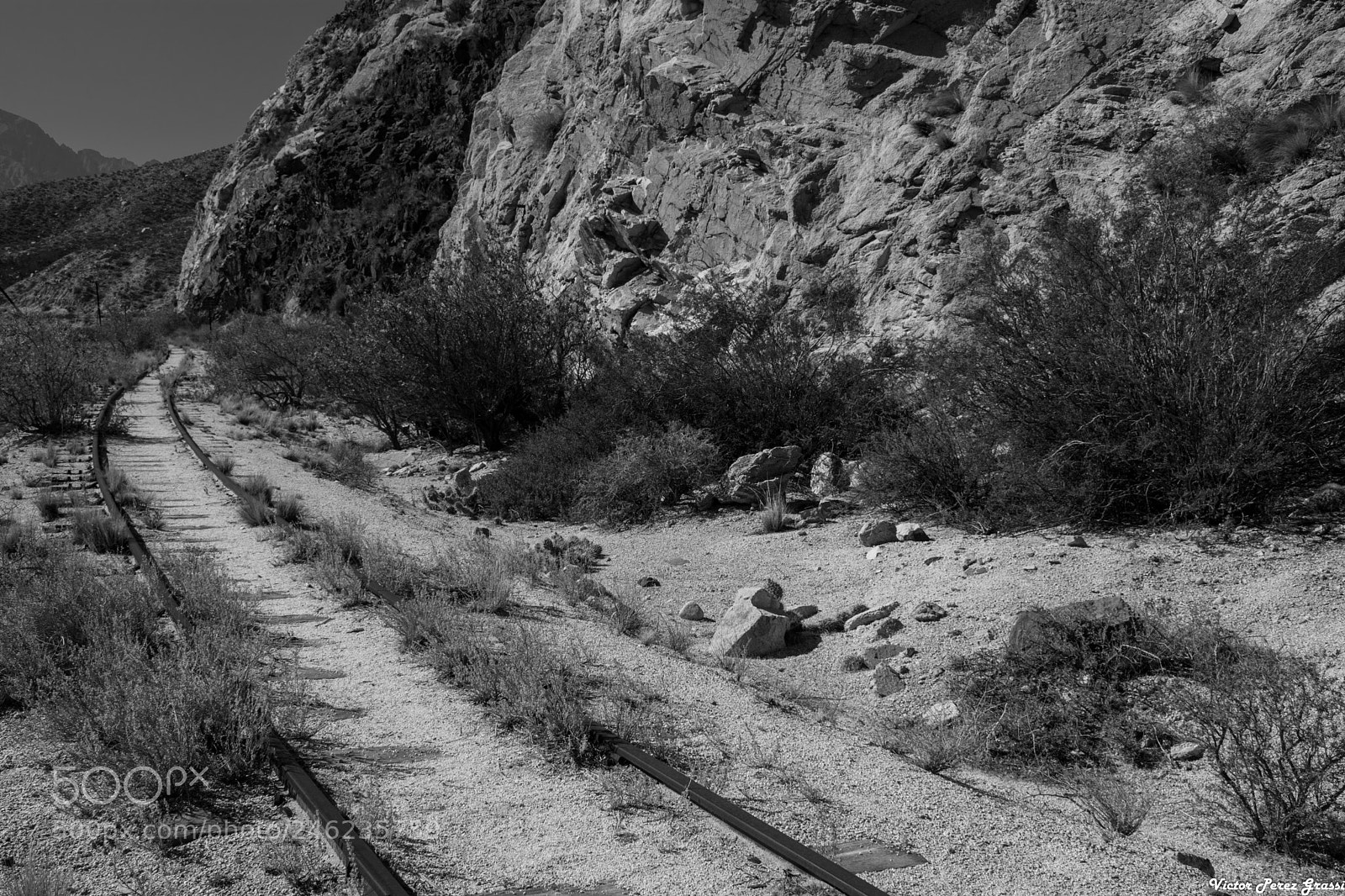 Nikon D7200 sample photo. Old train tracks photography