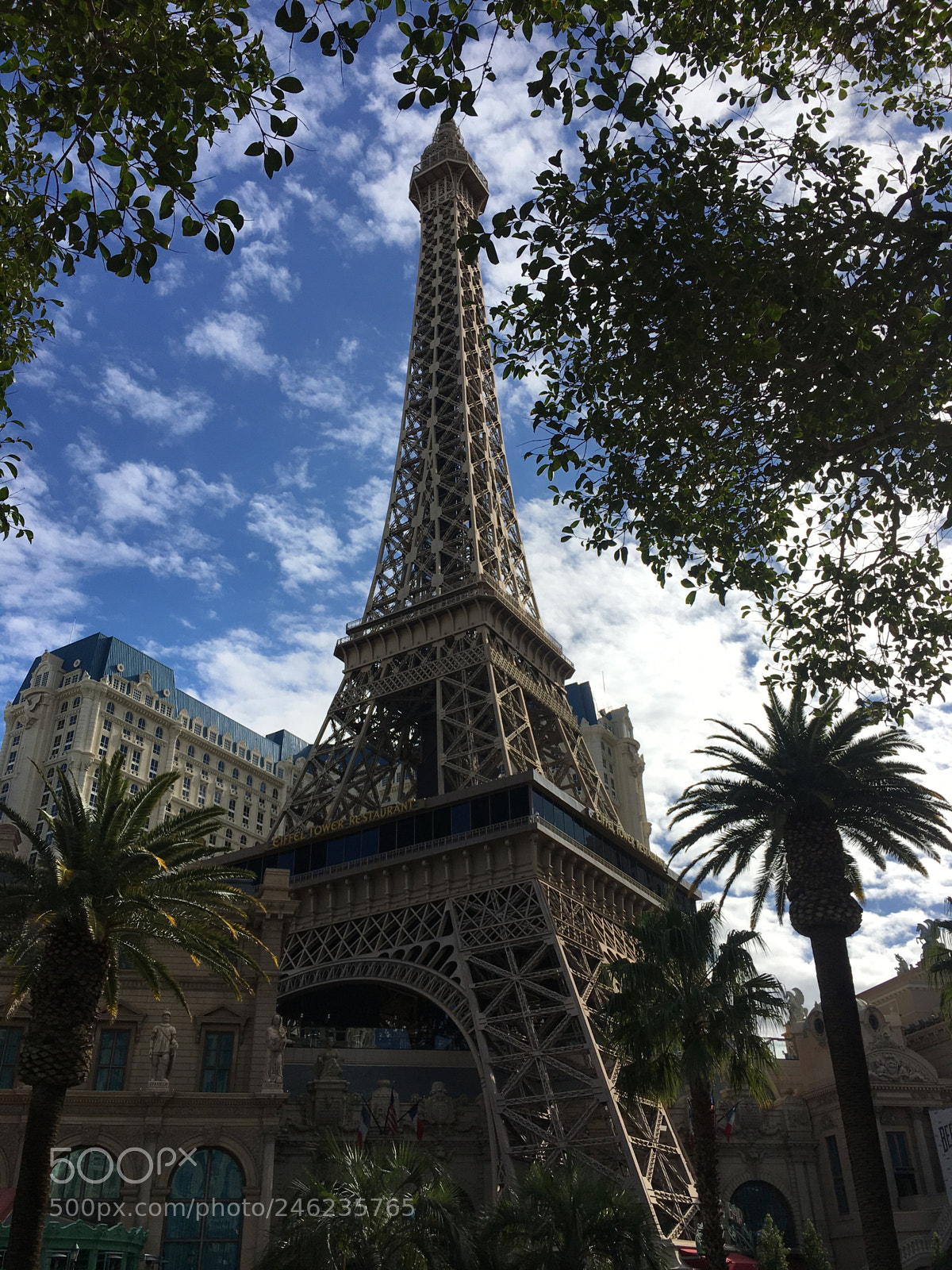 Apple iPhone 6s Plus sample photo. Viva las vegas!! photography