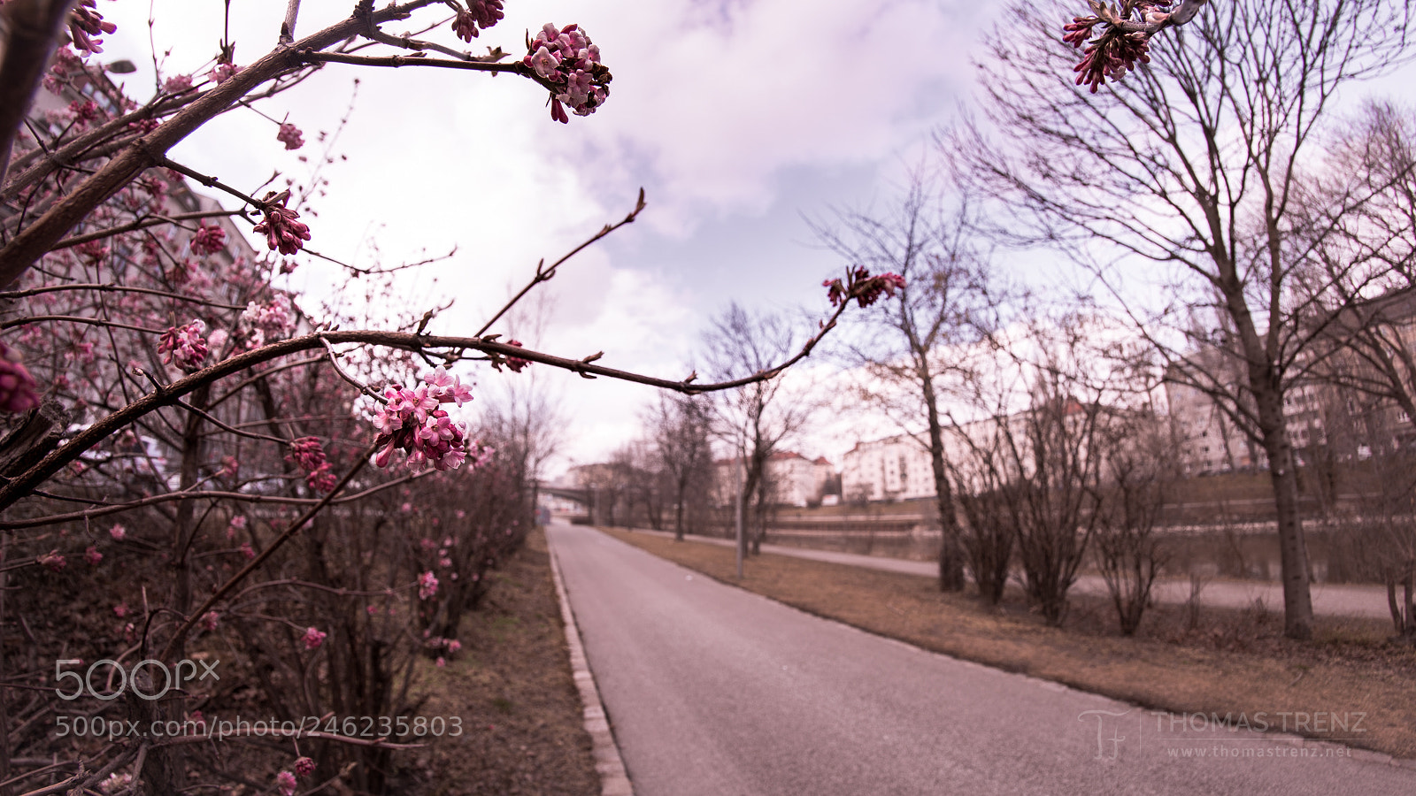 Nikon D600 sample photo. The call of spring photography