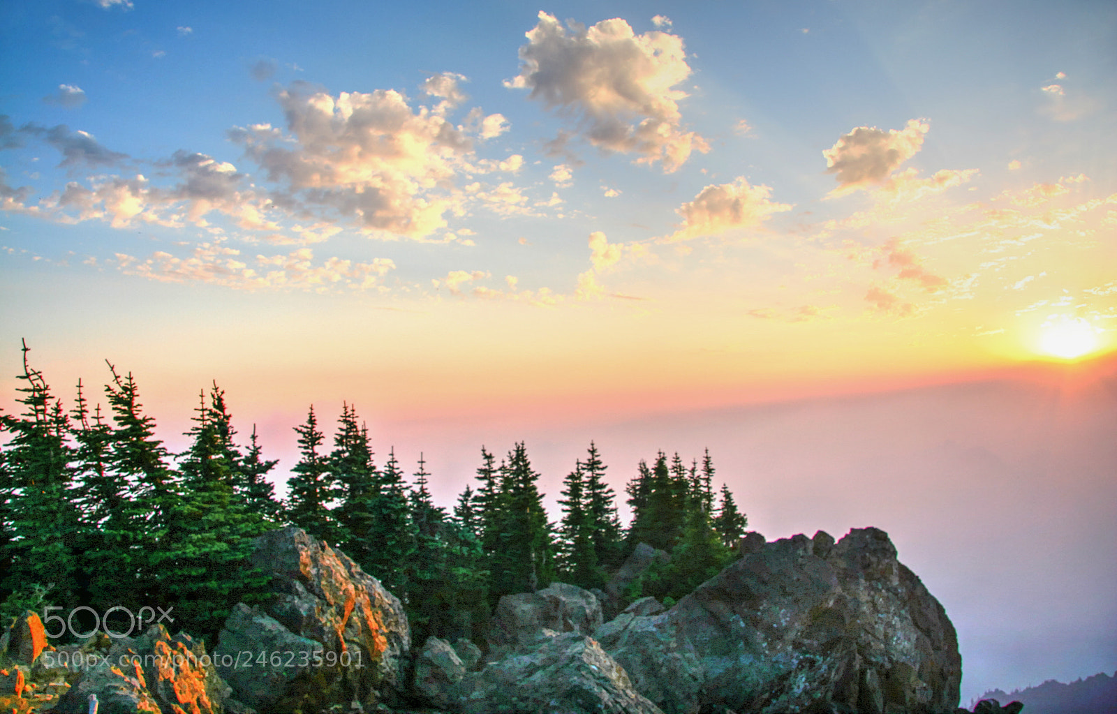 Canon EOS 20D sample photo. Ellinor's absolute summit at photography