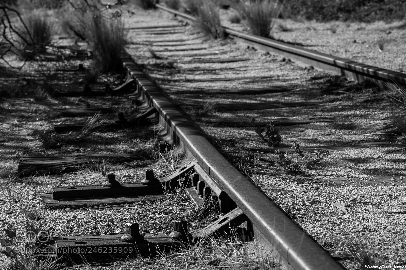 Nikon D7200 sample photo. Old train tracks photography