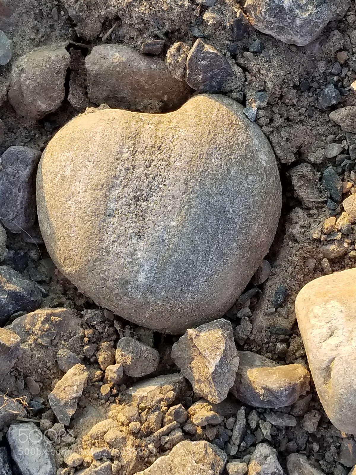 Samsung Galaxy S8 sample photo. Love is everywhere photography