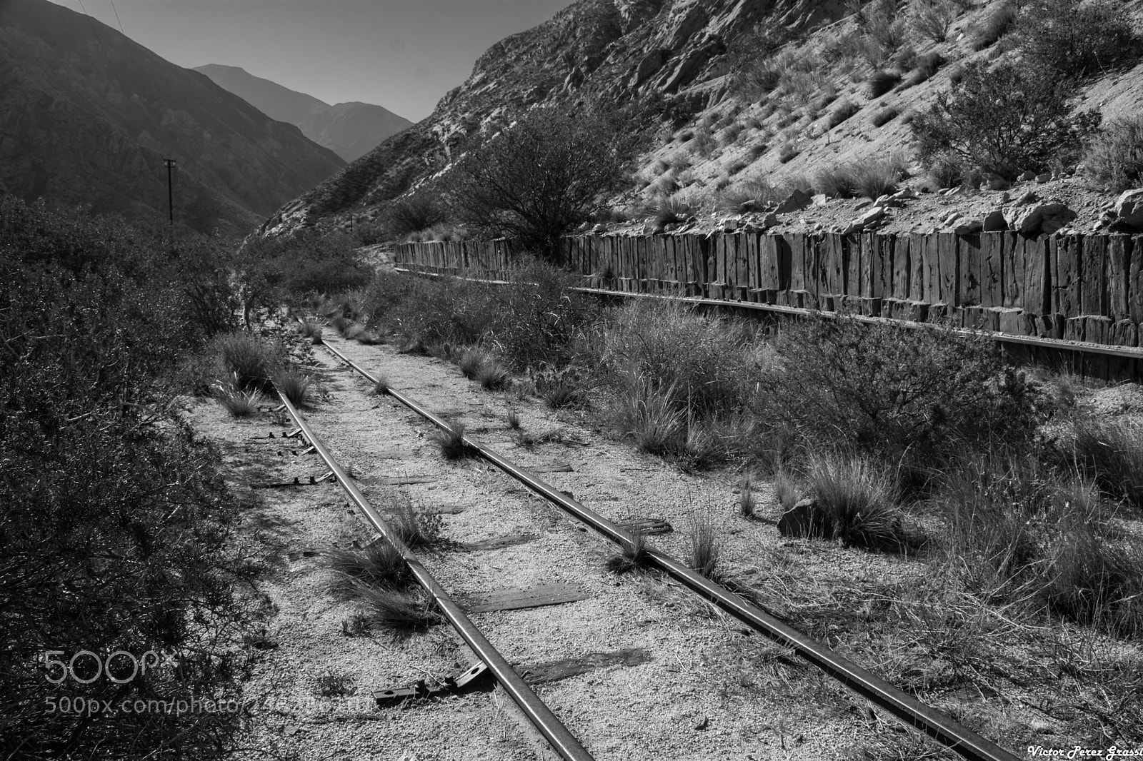 Nikon D7200 sample photo. Old train tracks photography