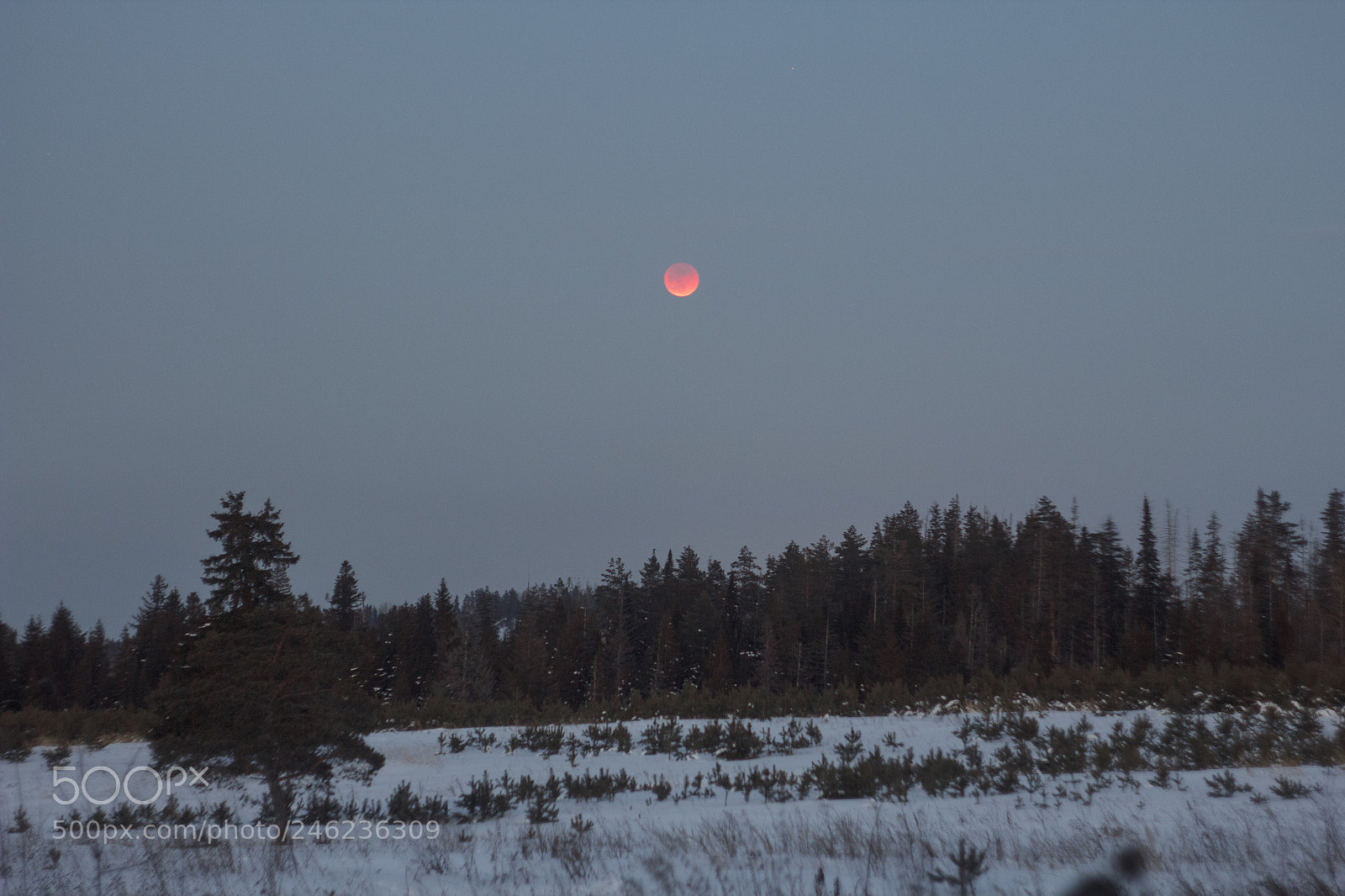 Canon EOS 60D sample photo. Lunar eclipse photography
