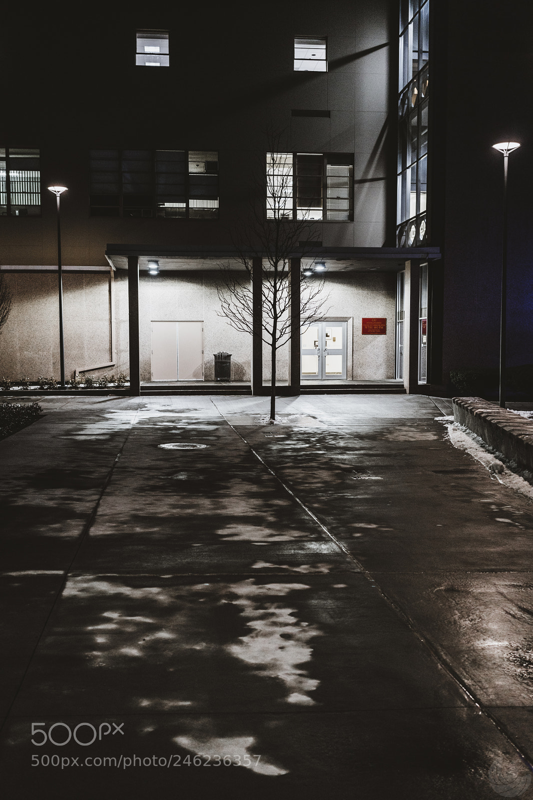 Sony a7R II sample photo. Bu com building photography