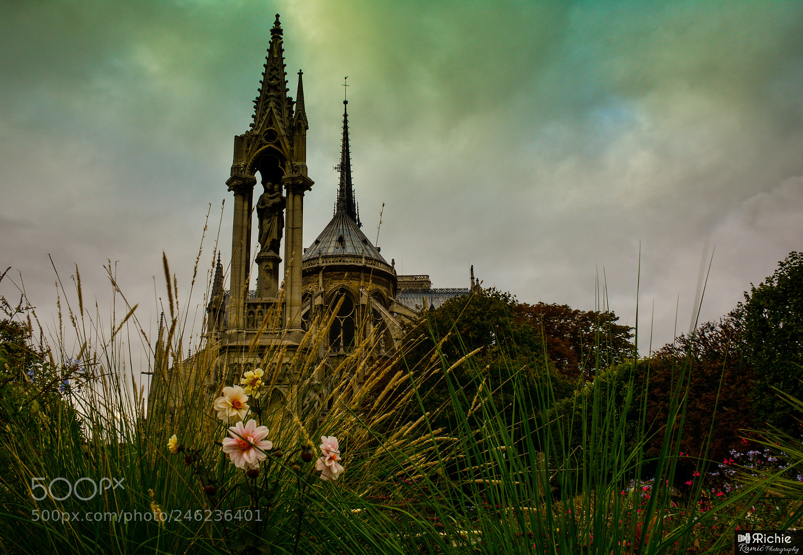 Nikon D7100 sample photo. Notre dame paris photography
