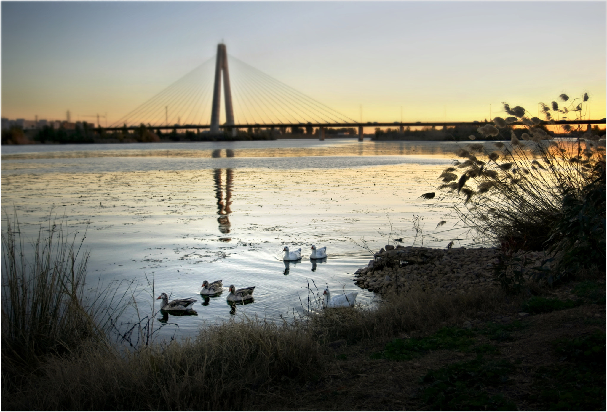 Canon EF-S 17-55mm F2.8 IS USM sample photo