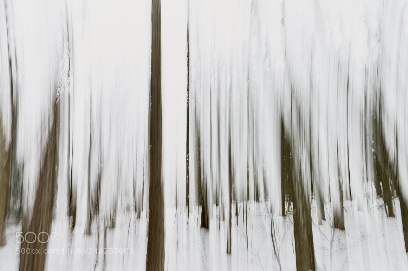 Pentax K20D sample photo. Motion. photography
