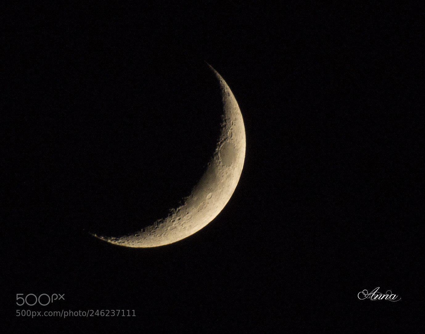 Nikon D7200 sample photo. Half moon photography