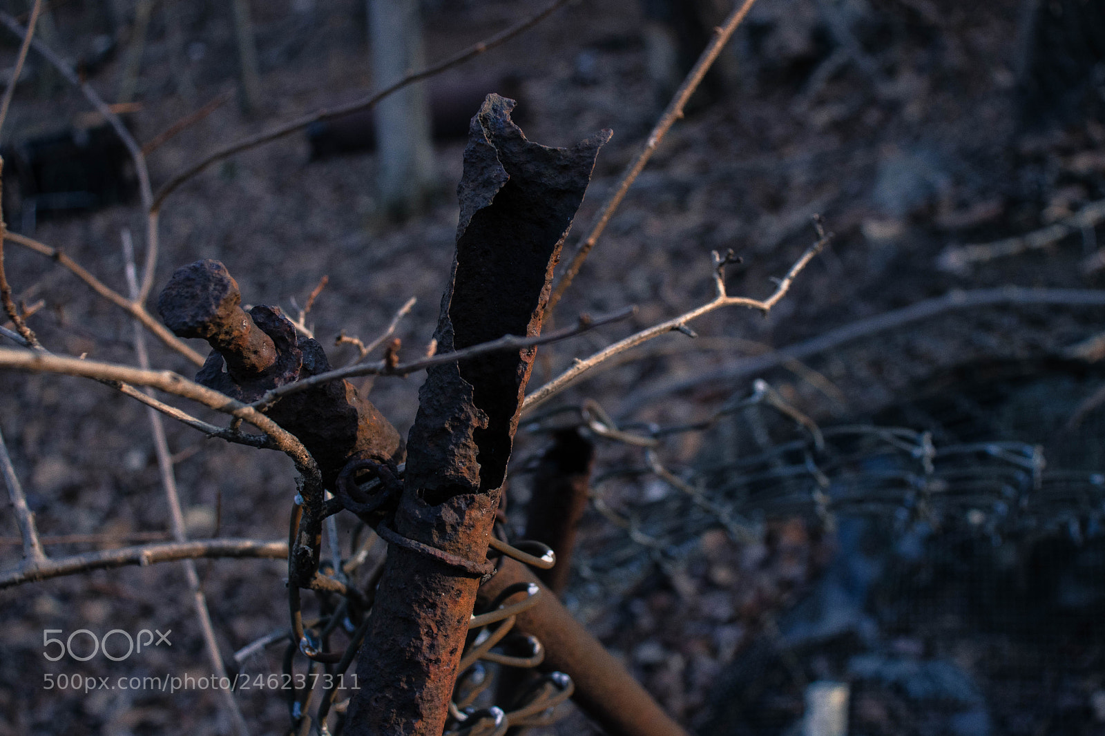 Canon EOS 200D (EOS Rebel SL2 / EOS Kiss X9) sample photo. "off limits" photography