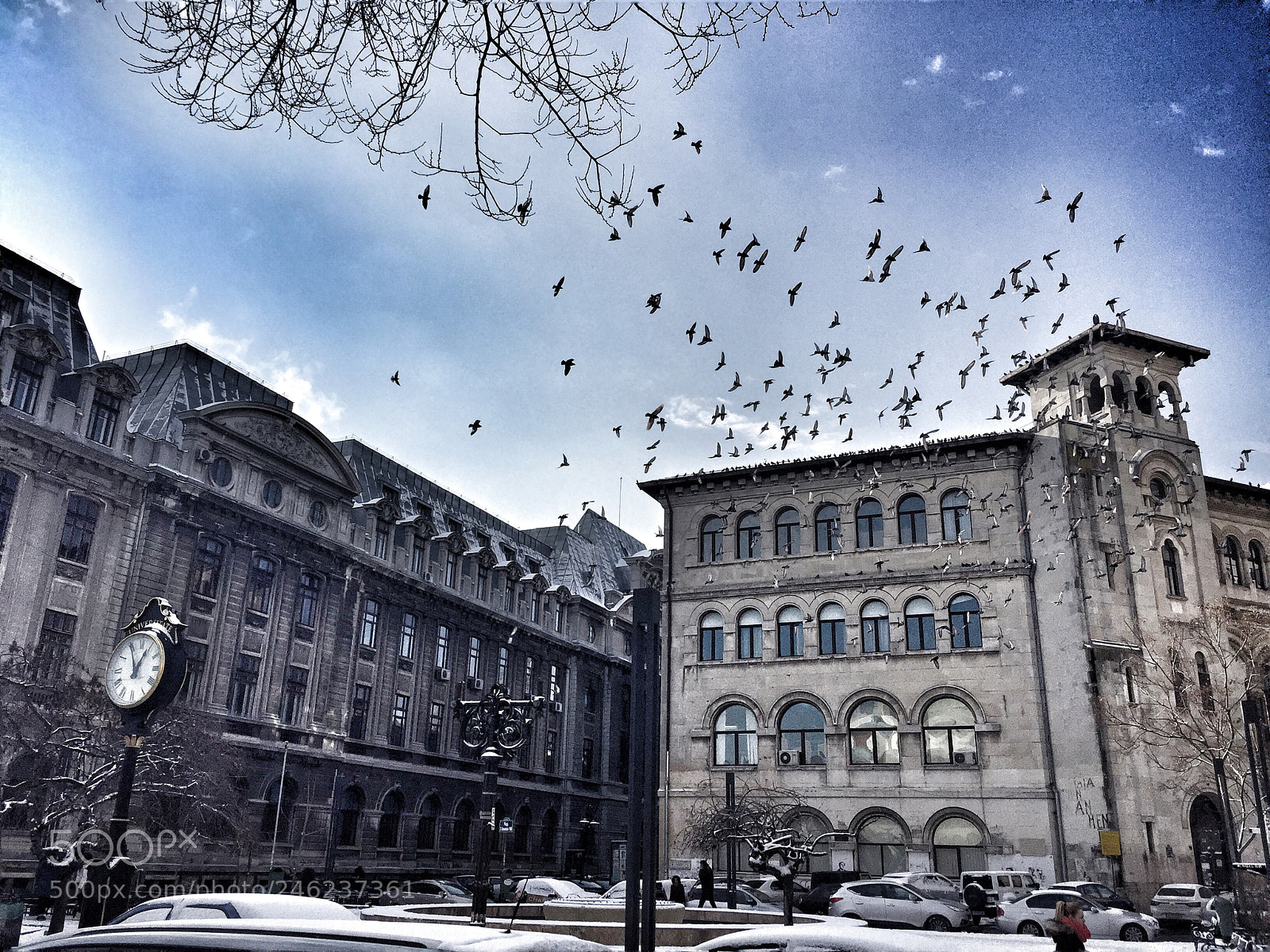 Apple iPhone 6 sample photo. Winter story photography