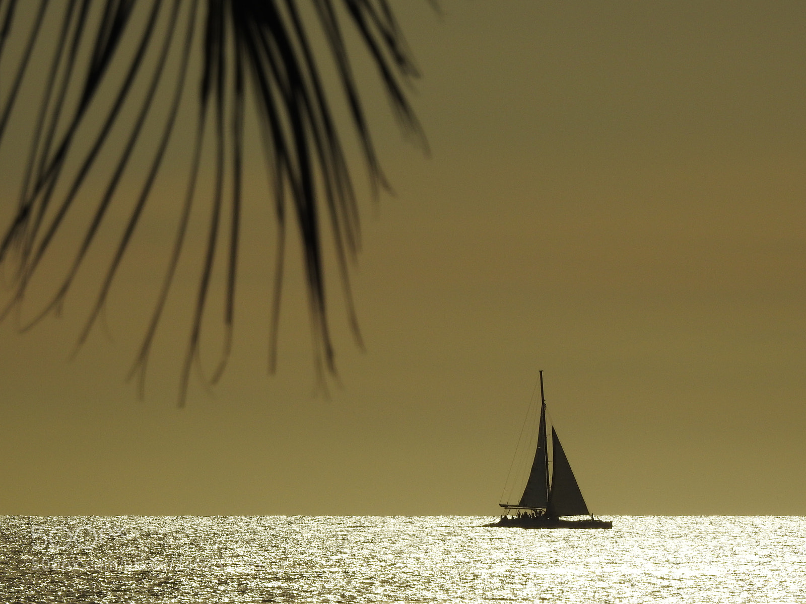 Nikon Coolpix P900 sample photo. Sailboat on silver ocean photography
