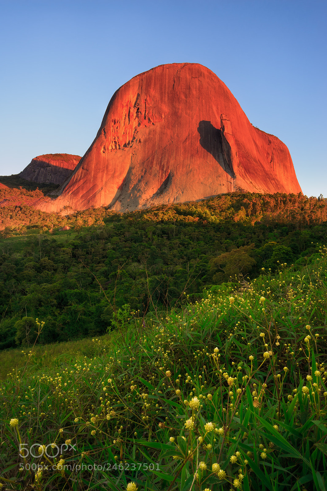 Nikon D610 sample photo. Cloudless colorful sunset in photography