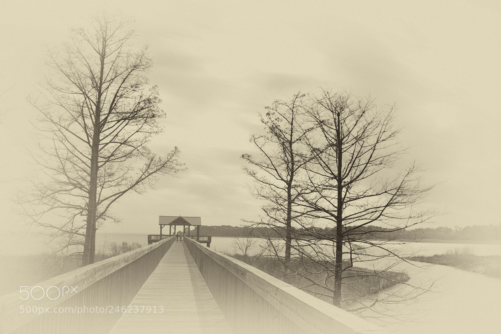 Nikon D810 sample photo. Antique pier photography
