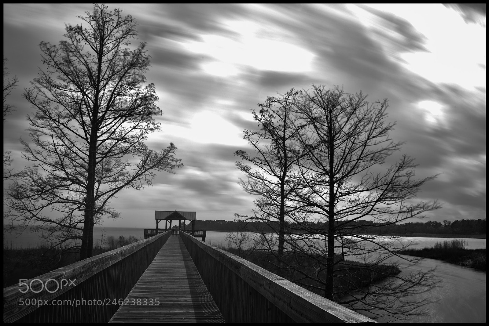 Nikon D810 sample photo. Winter boardwalk photography