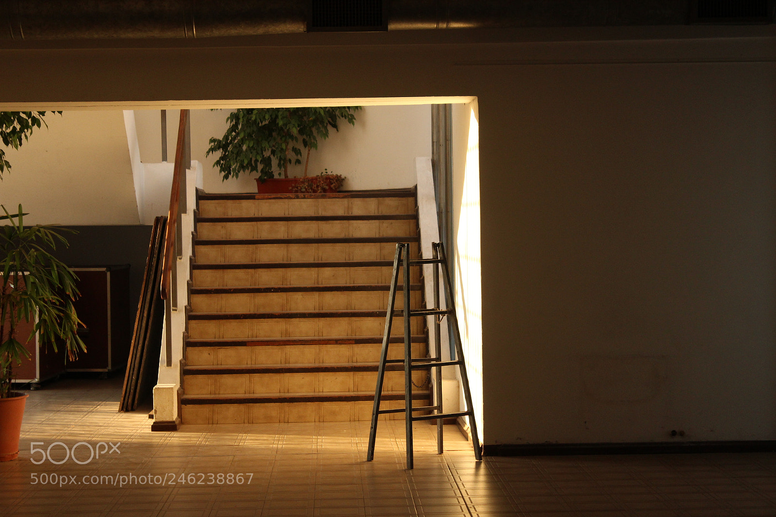 Canon EOS 600D (Rebel EOS T3i / EOS Kiss X5) sample photo. Ladder origin photography