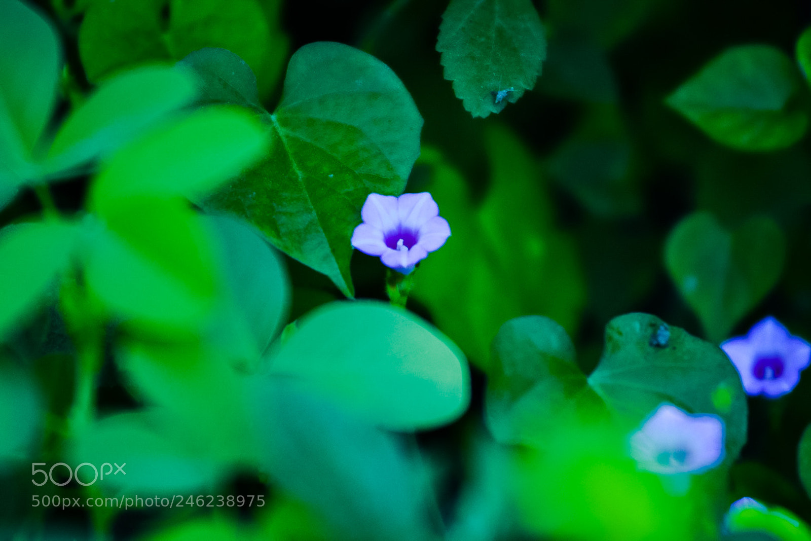 Nikon D7100 sample photo. Untitled photography