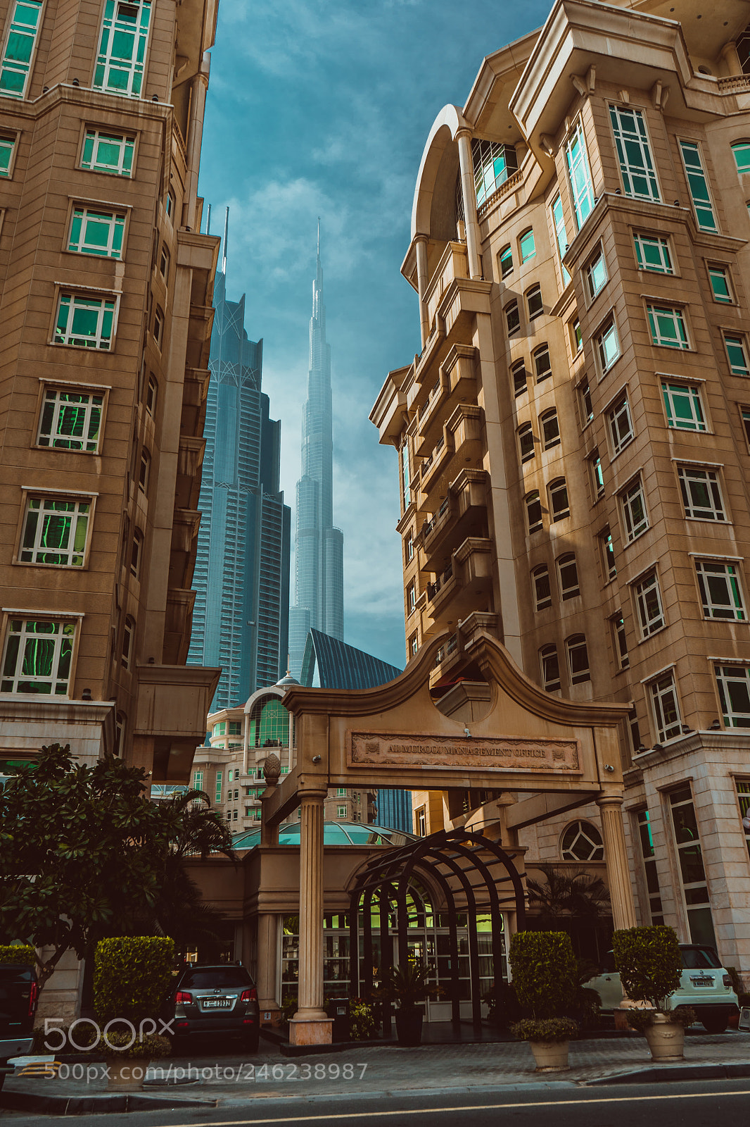 Sony a7 II sample photo. Untitled photography