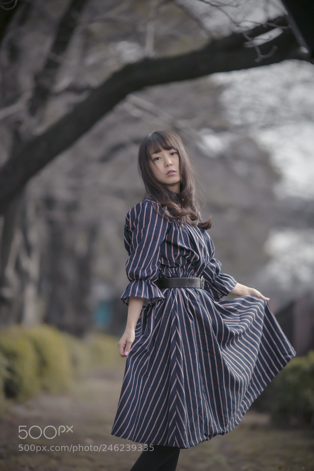 Canon EOS 5DS sample photo. Sora photography