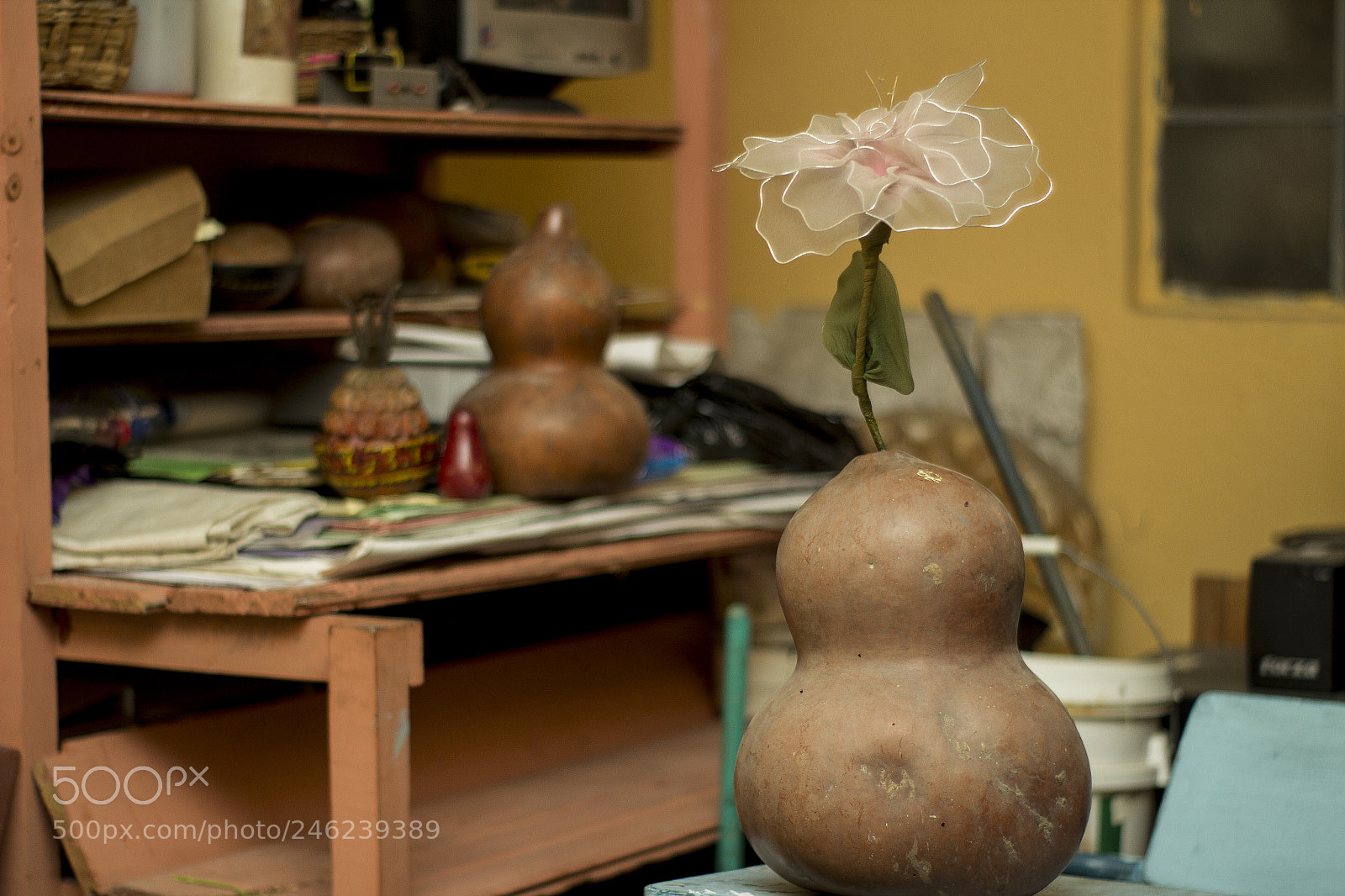 Canon EOS 600D (Rebel EOS T3i / EOS Kiss X5) sample photo. Tecomate photography