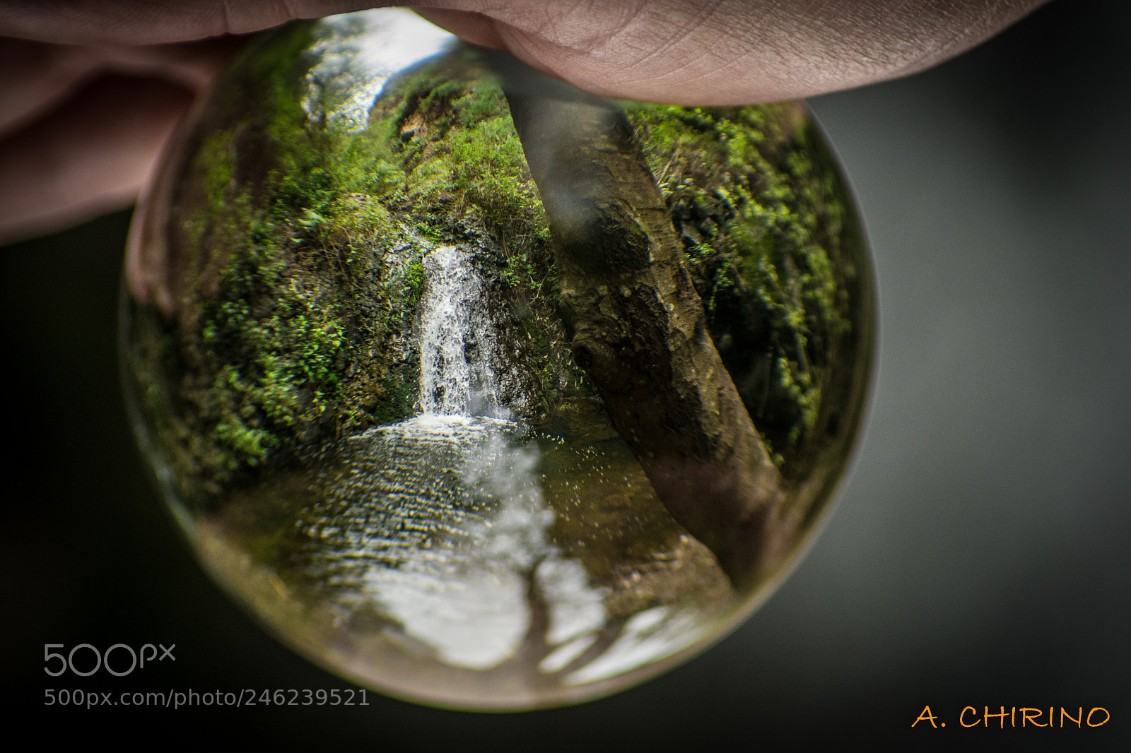 Nikon D3400 sample photo. Lensball photography