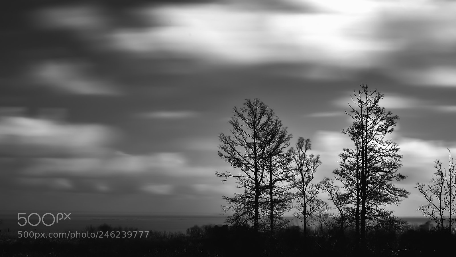 Nikon D810 sample photo. Winter clouds photography