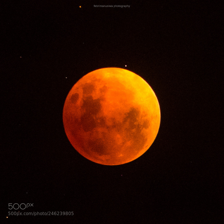 Nikon D810 sample photo. Red moon photography
