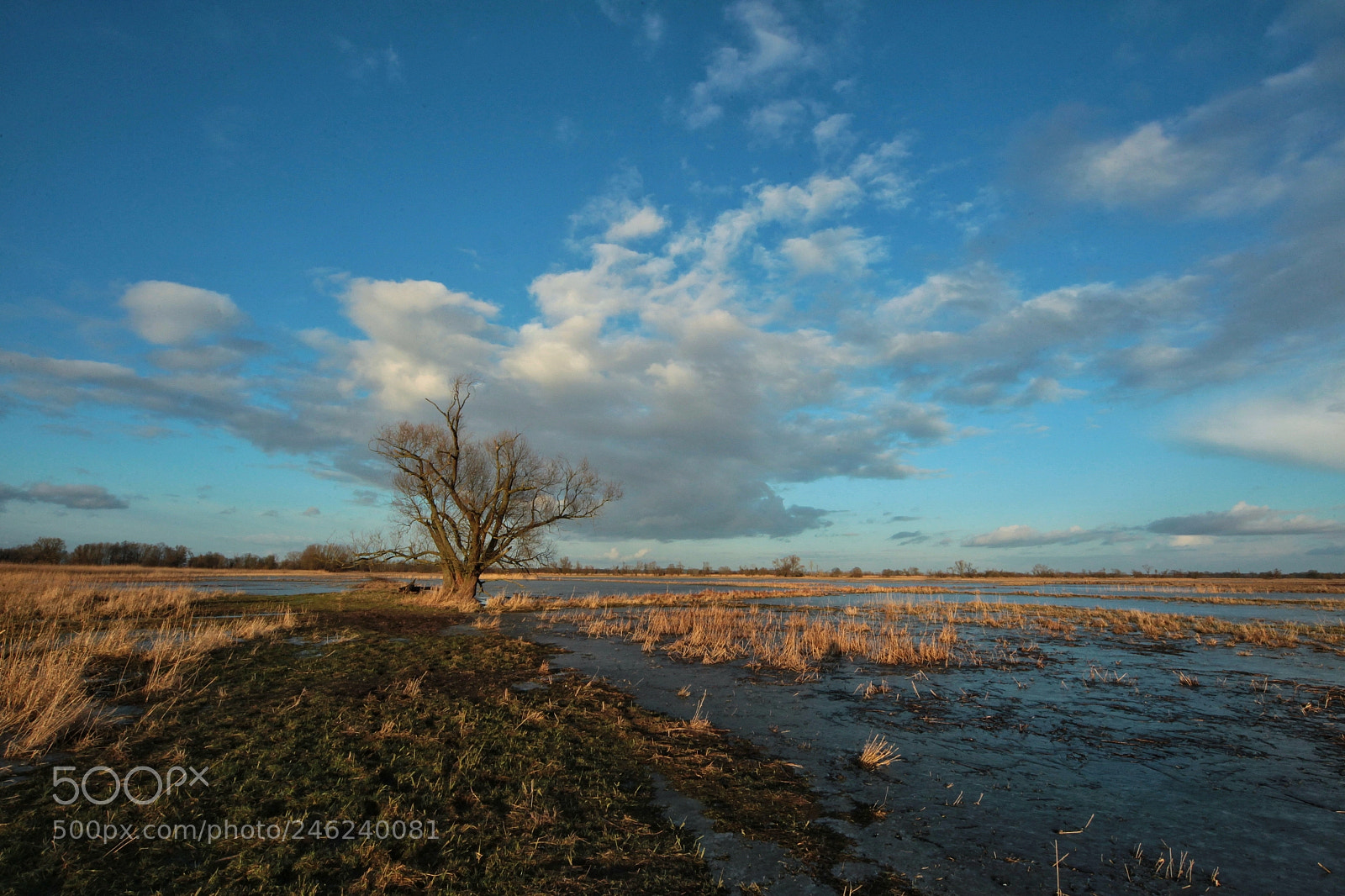 Canon EOS-1D Mark IV sample photo. Untitled photography