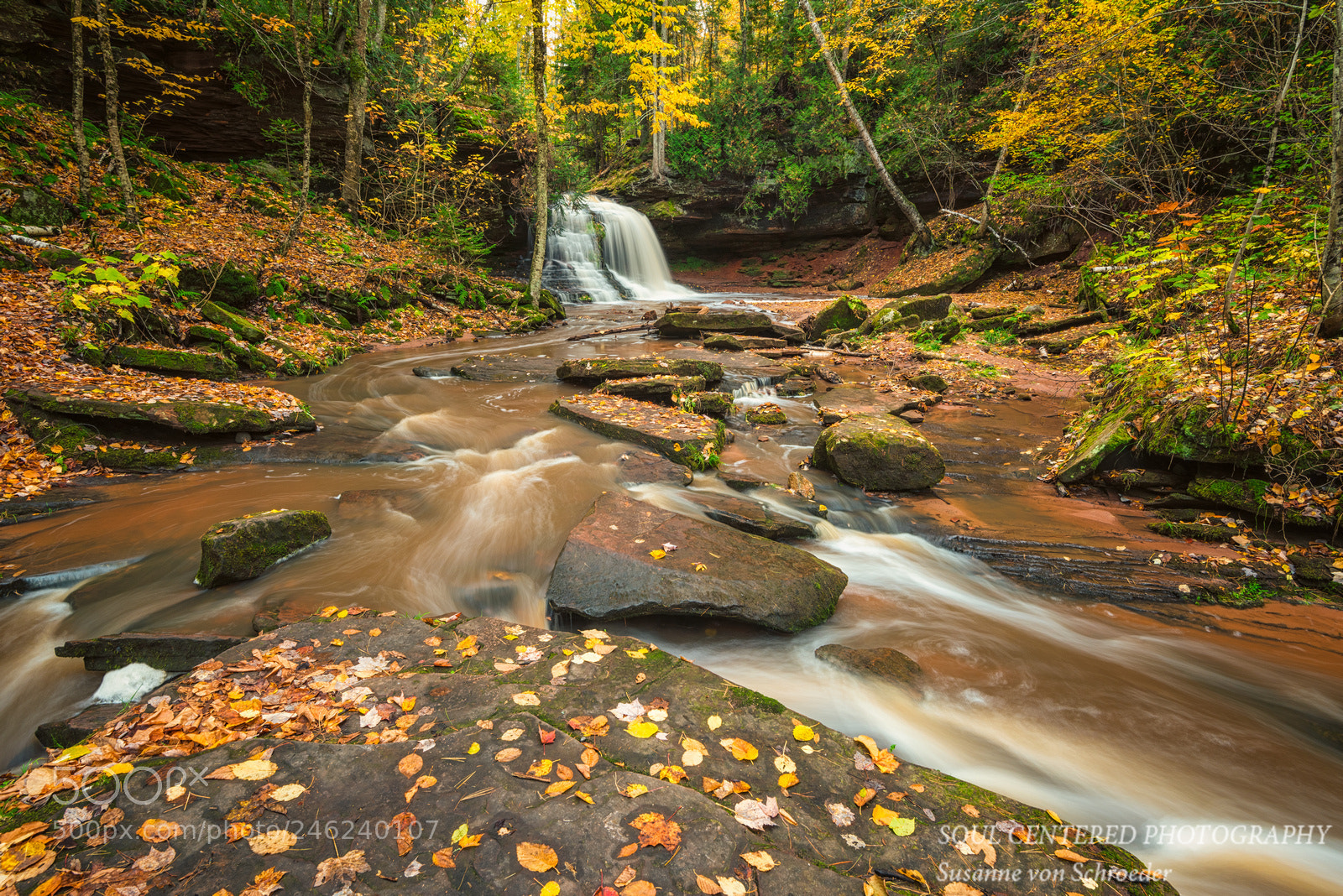 Nikon D810 sample photo. Lost creek falls photography