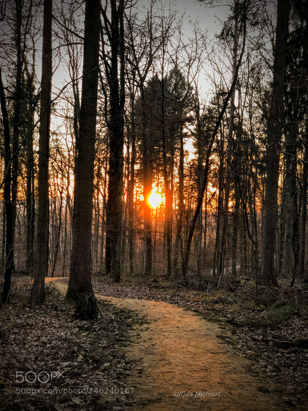 Apple iPhone X sample photo. Finebahn richtig sunneuntergang photography